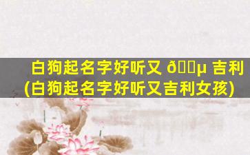 白狗起名字好听又 🐵 吉利(白狗起名字好听又吉利女孩)